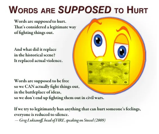 Words are supposed to hurt.  The battlefield of ideas in vigorous debate before deliberative bodies is supposed to protects us from the actual violence of civil war.